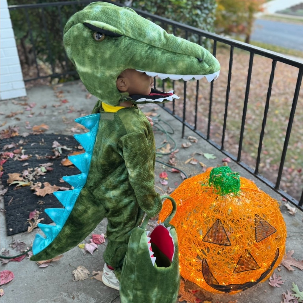 T-Rex Dinosaur Costume By Potterybarn Kids! — image 2 of 7